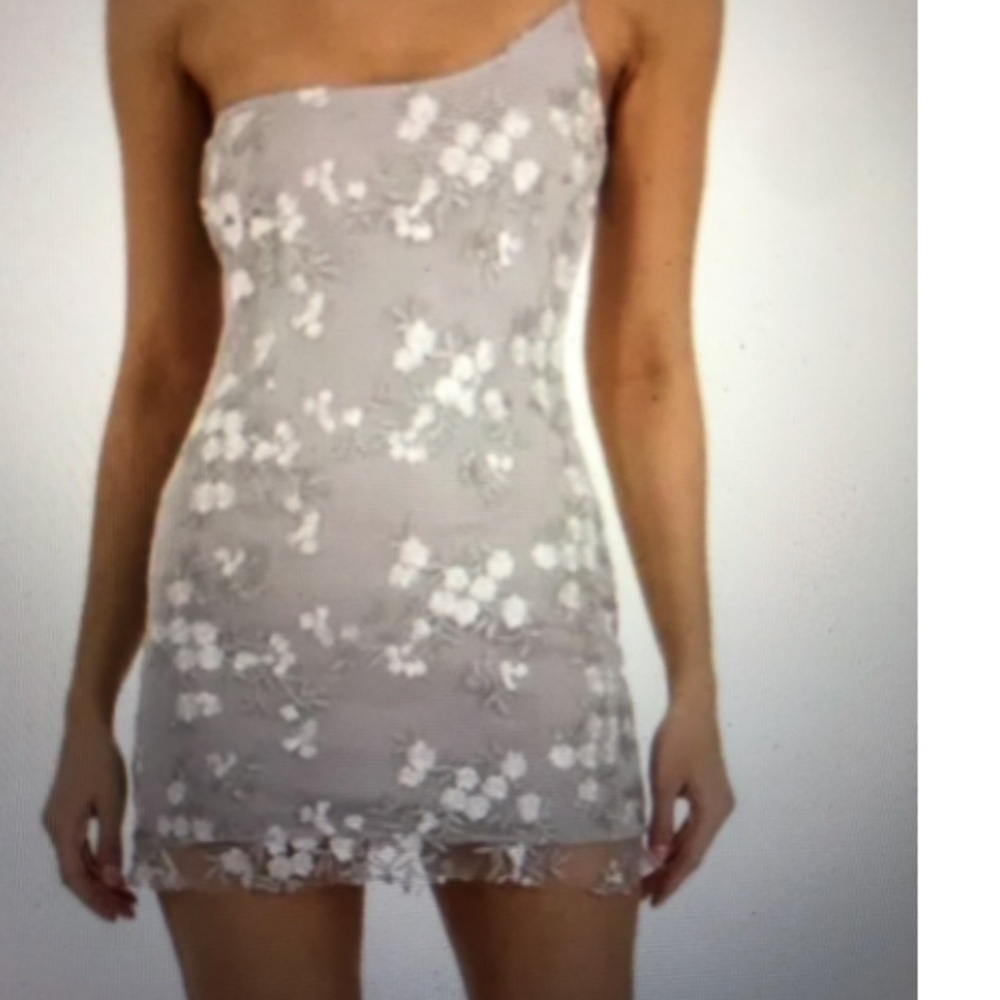 New Lucy in the Sky Silver and great Mini Dress